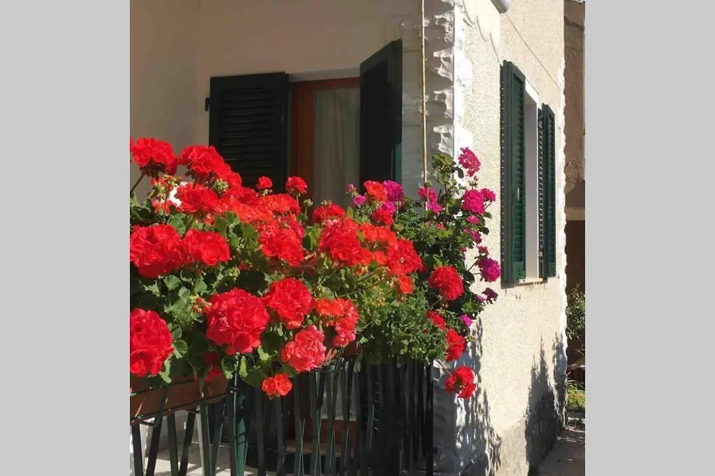 Apartment Appartamento Lucietta Marciana Marina  Italy
